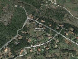 MONTERIGGIONI (SI) – TERRENO COLLINARE BOSCATO