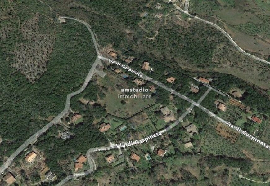 MONTERIGGIONI (SI) – TERRENO COLLINARE BOSCATO