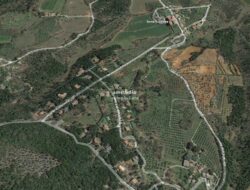 MONTERIGGIONI (SI) – TERRENO COLLINARE BOSCATO