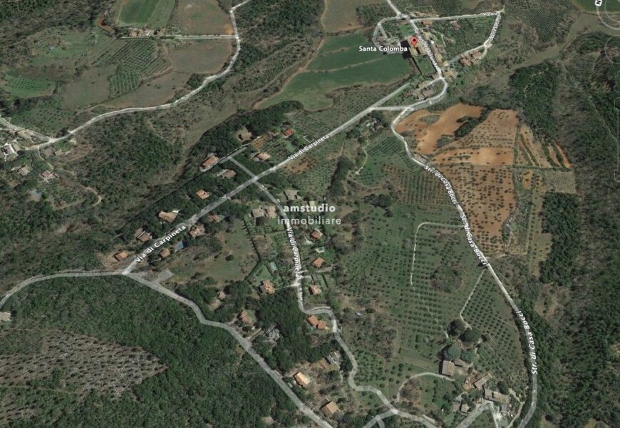 MONTERIGGIONI (SI) – TERRENO COLLINARE BOSCATO